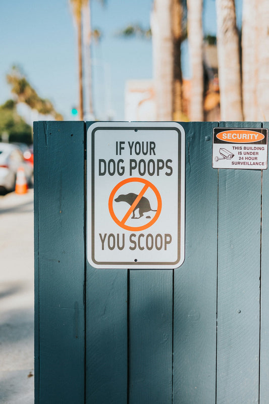 Keep It Eco with Bag It Wag It Compostable Poop Bags for Dogs