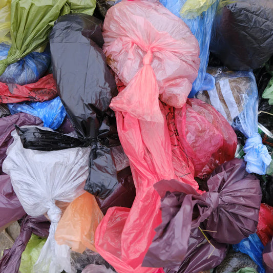 The Hidden Cost of Cheap Plastic Poop Bags (and Why They’re Failing the Planet)