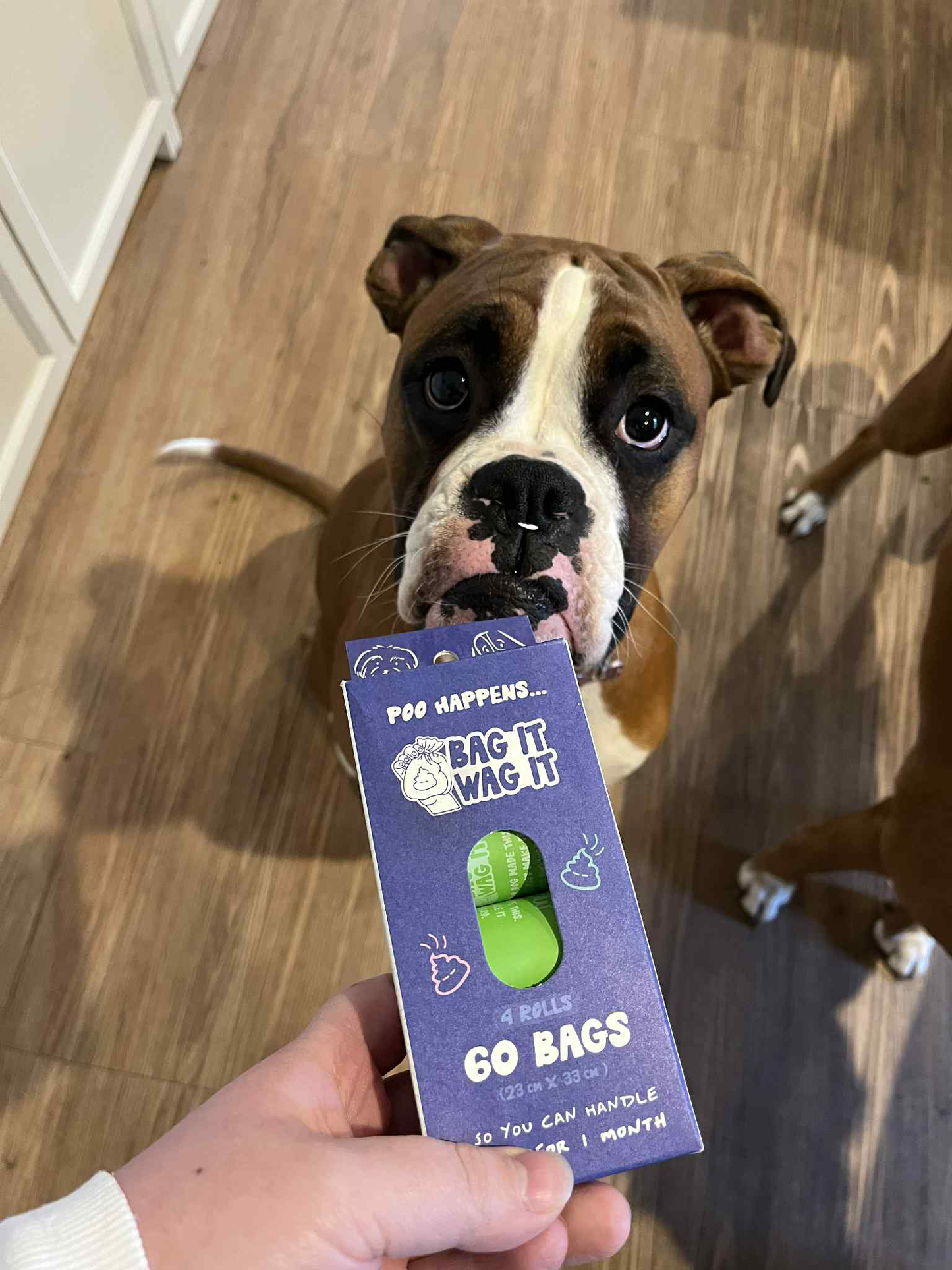 Compostable Dog Poo Bags