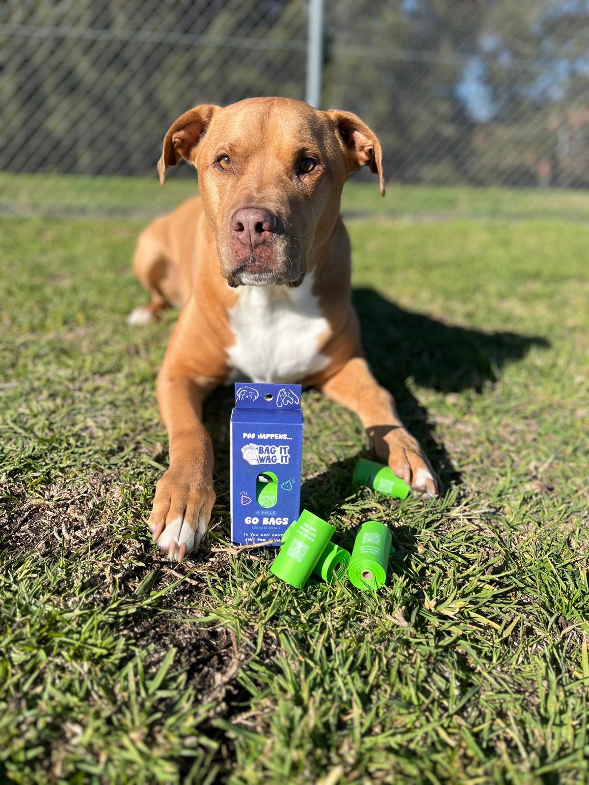 Compostable Dog Poo Bags