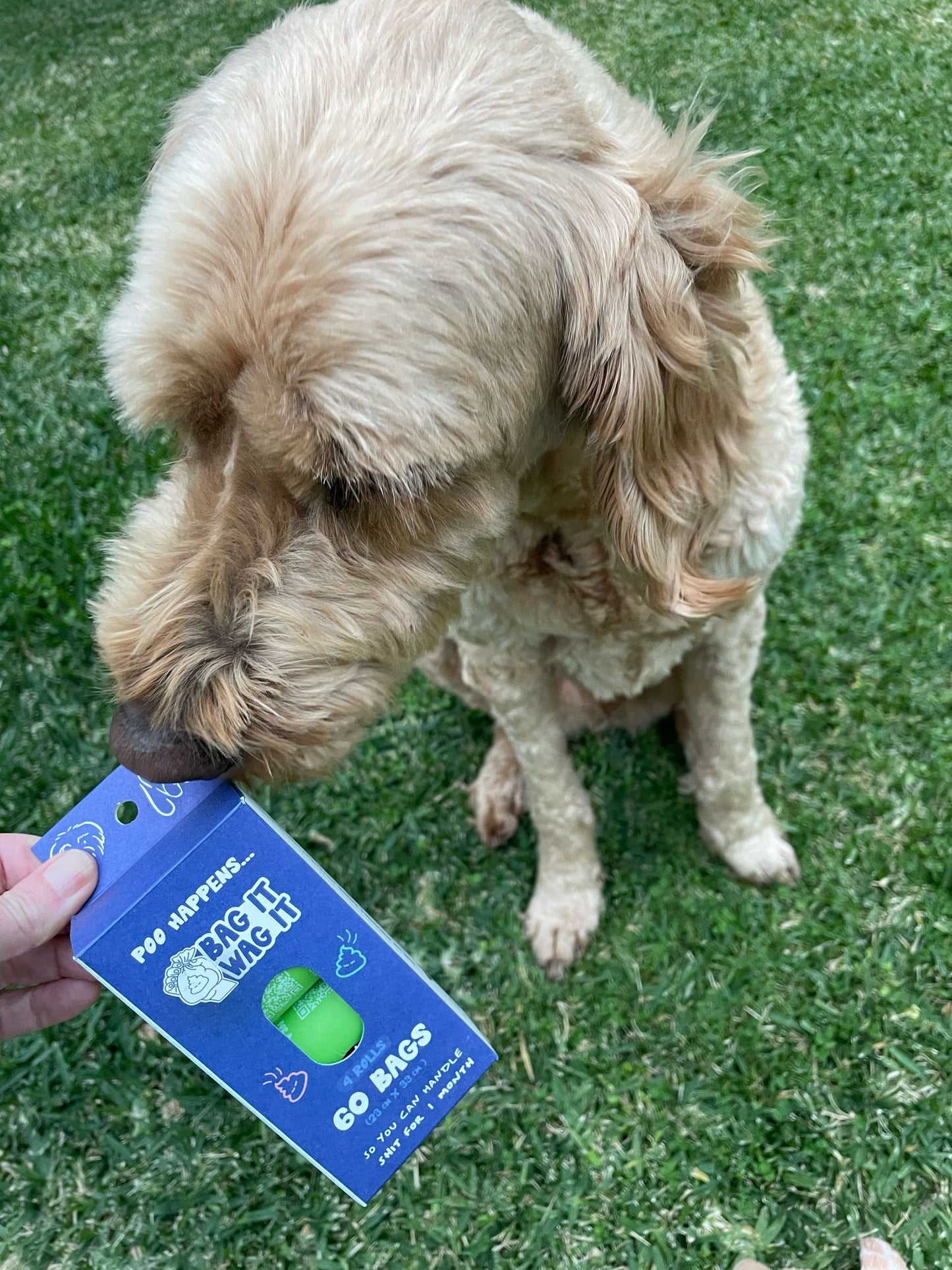 Compostable Dog Poo Bags