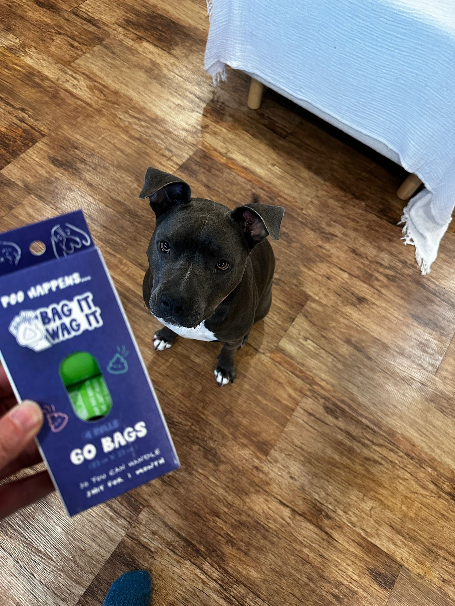 Compostable Dog Poo Bags