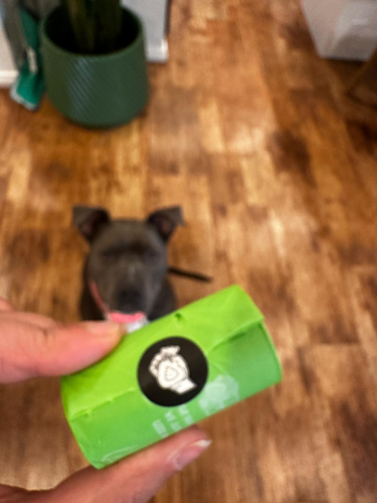 Compostable Dog Poo Bags