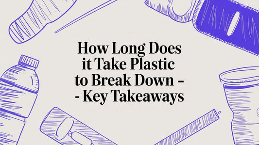 How long does it take plastic to break down? A dog owner's guide