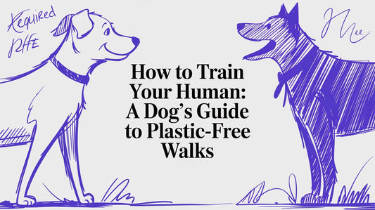 How to Train Your Human: A Dog’s Guide to Plastic-Free Walks