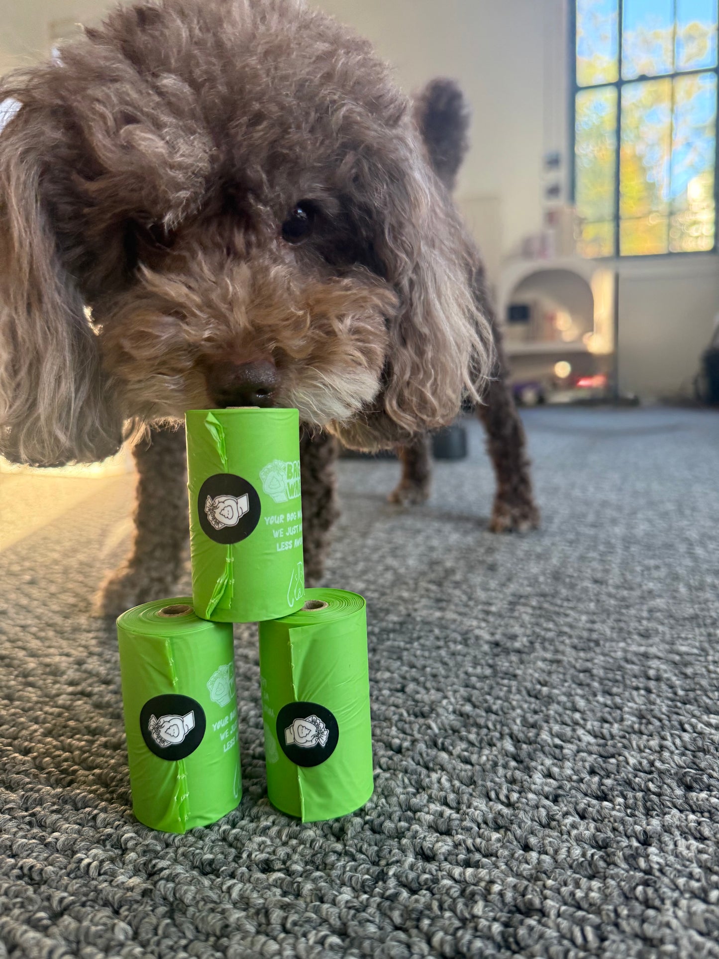 Zero-Plastic & Compostable Dog Poop Bags (60 Bags | 4 Rolls of 15 Bags)